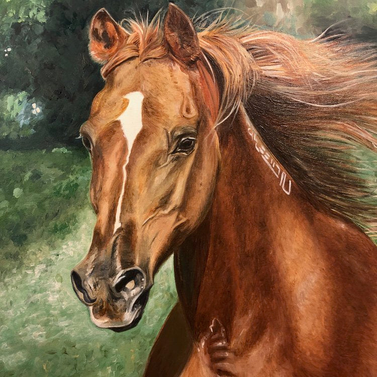 Arabian Horse Art | Paint Horse | Horse Paintings on Canvas