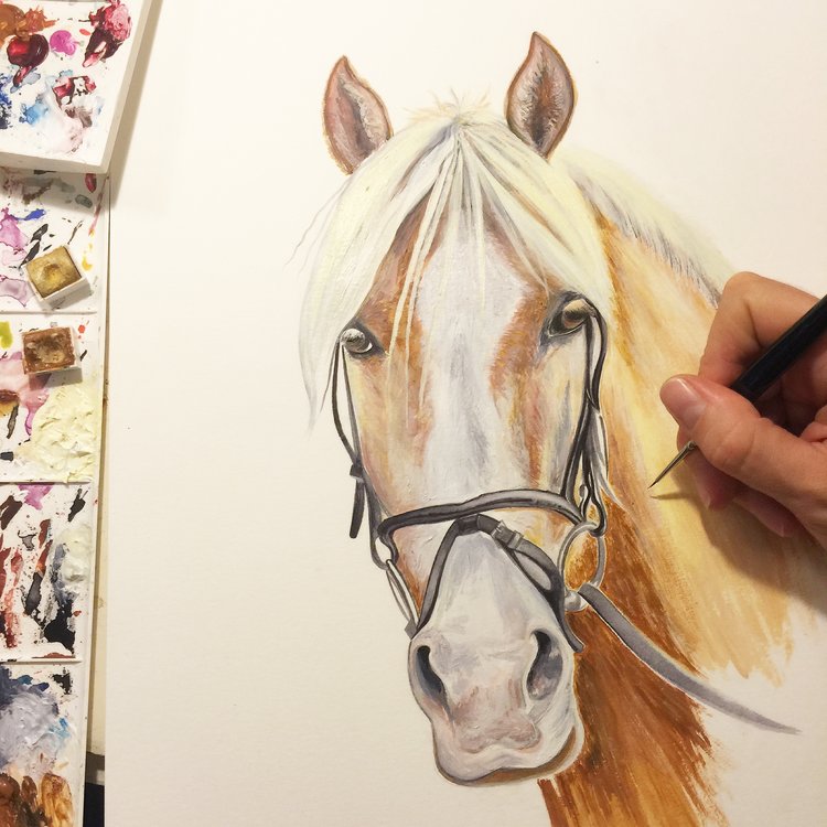 Palomino | Horse Art| Art Commissions | Equine Art