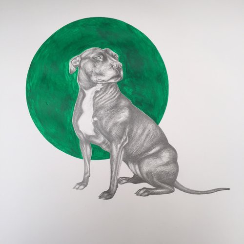 Staffordshire Bull Terrier | Art Commissions | Dog Art