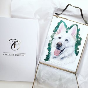 Art Commissions | Dog Art | Pet Portraits | Custom Pet Portrait