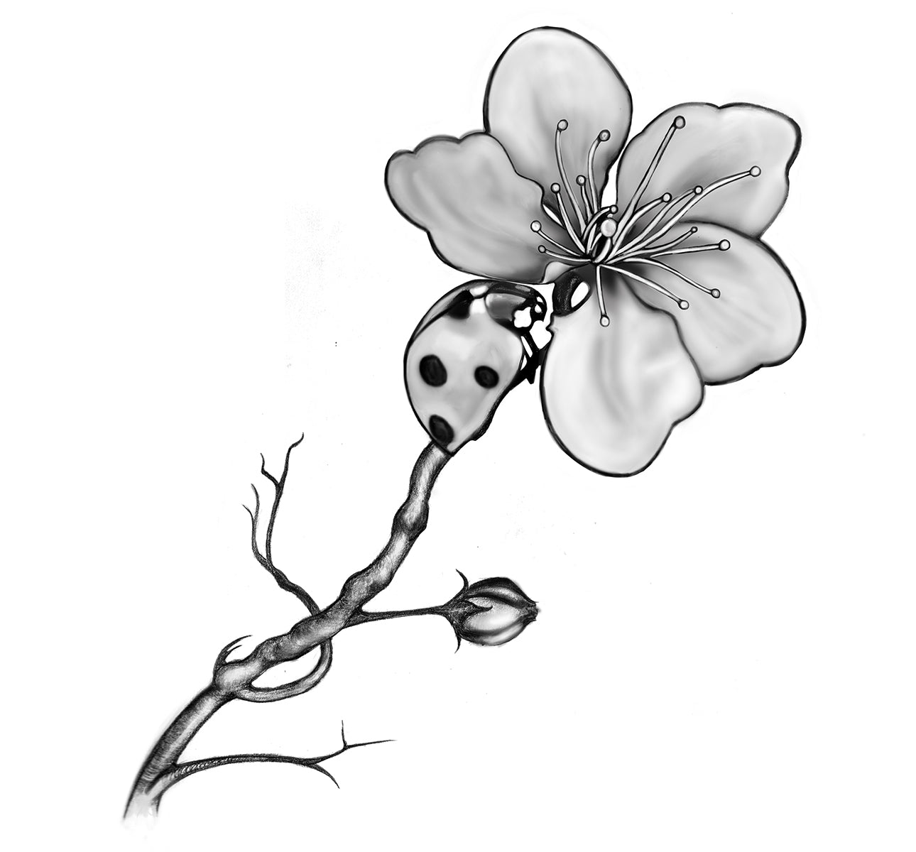 Ladybird | Flower | Tattoo Design | Tattoo Art