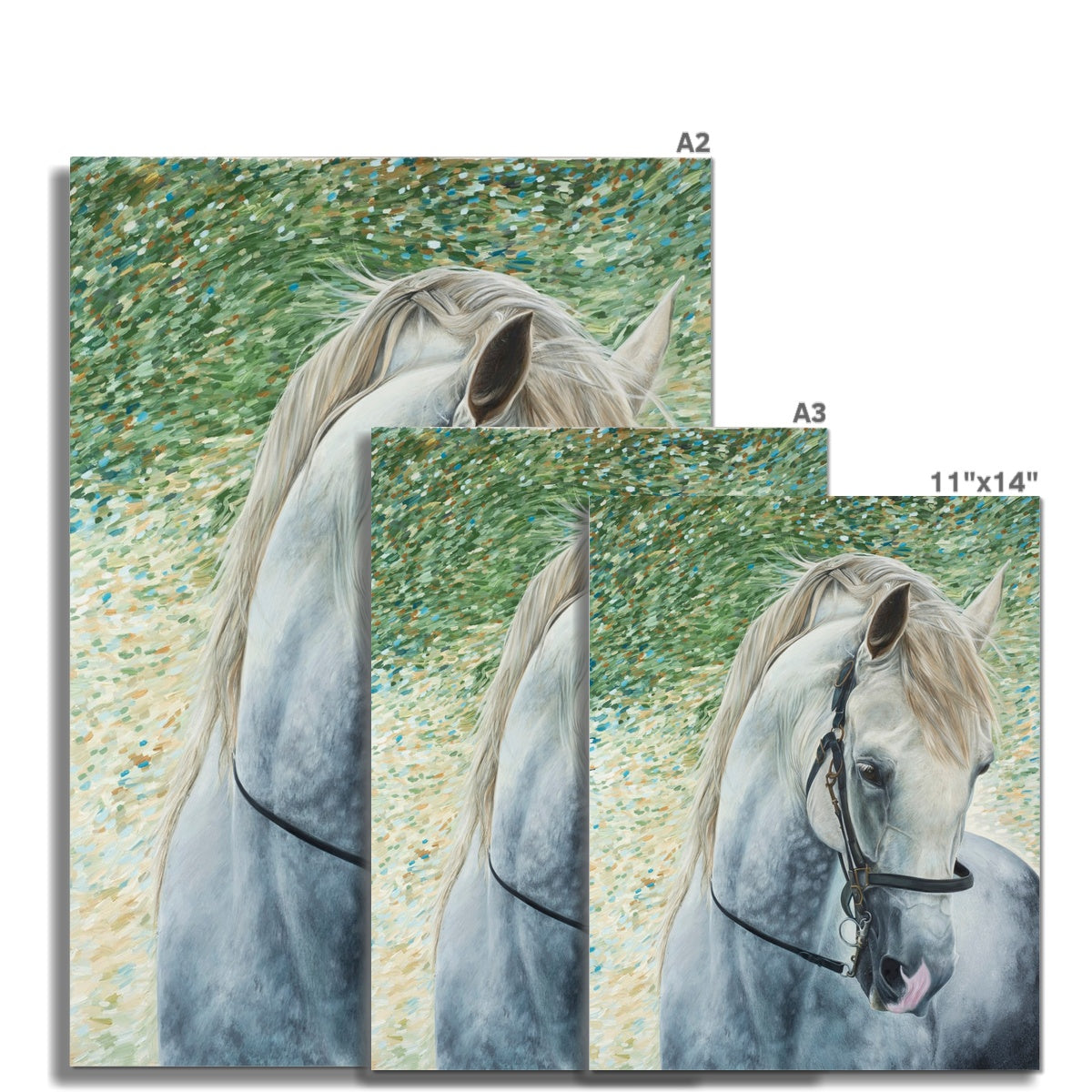 3 different sizes of White horse head wearing bridle portrait painting. 