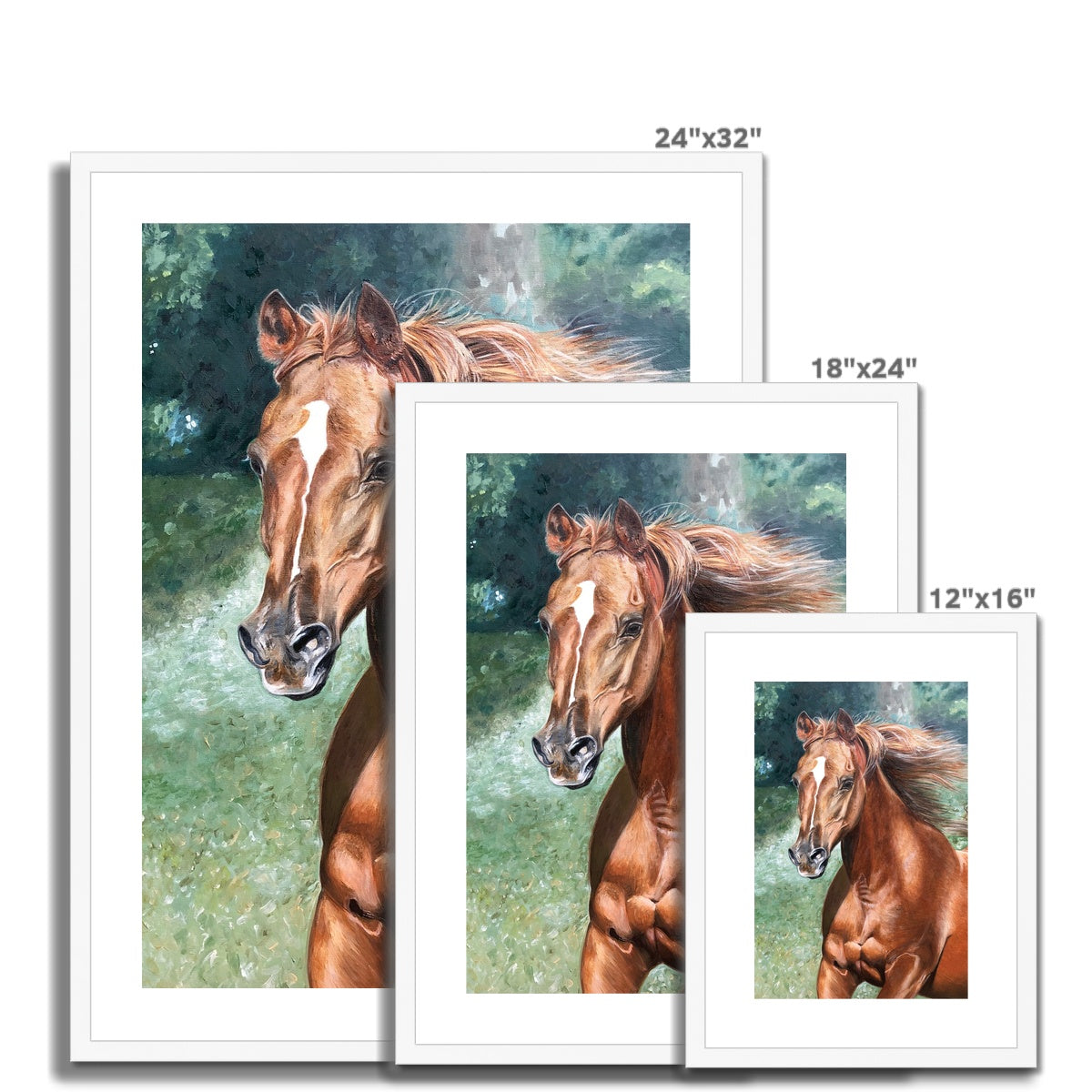 3 different sizes of Arabian horse painting framed & mounted print with white boarder and white frame