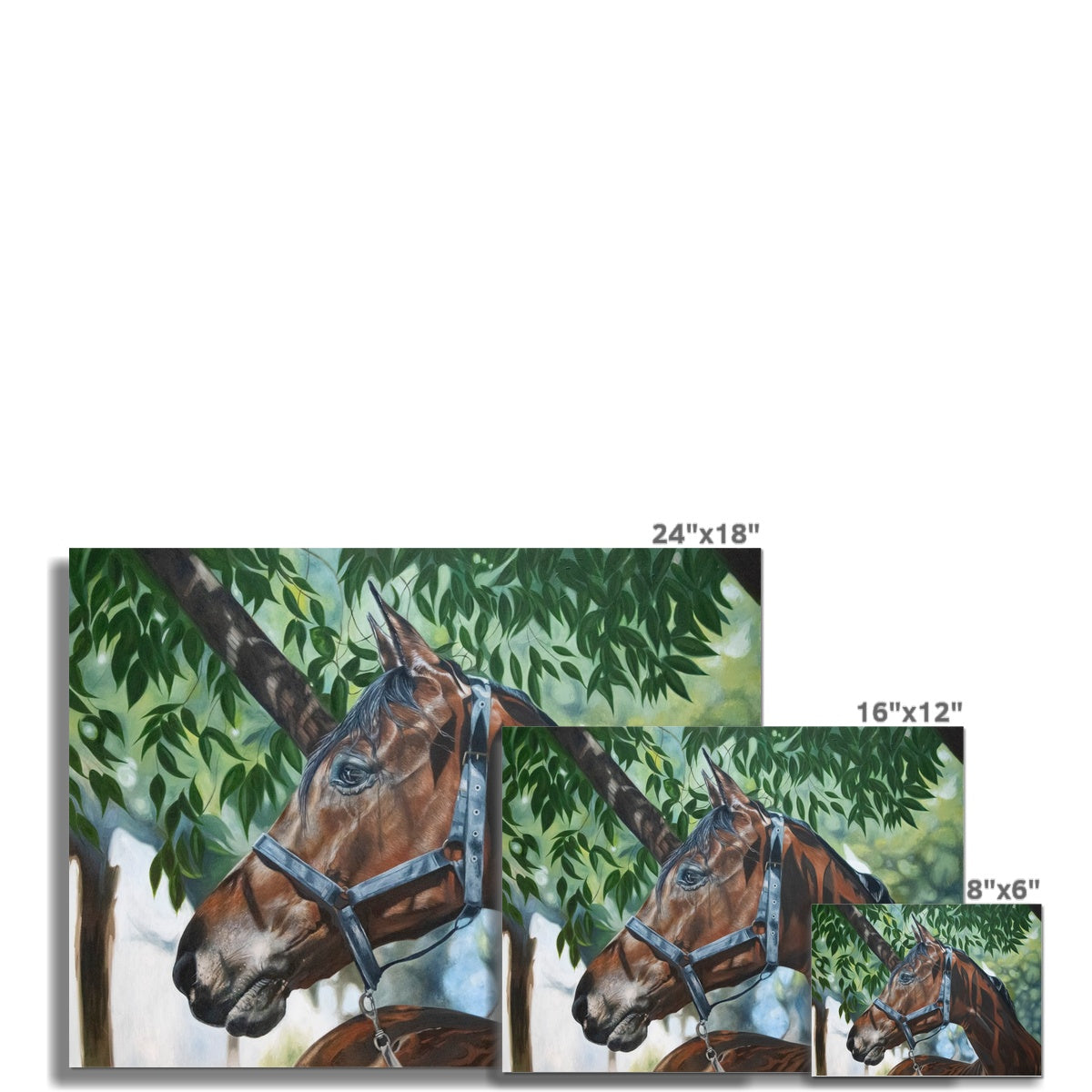 3 different sizes of Detailed painting of horse stood below a tree, blue headcollar on sunny day german etching print