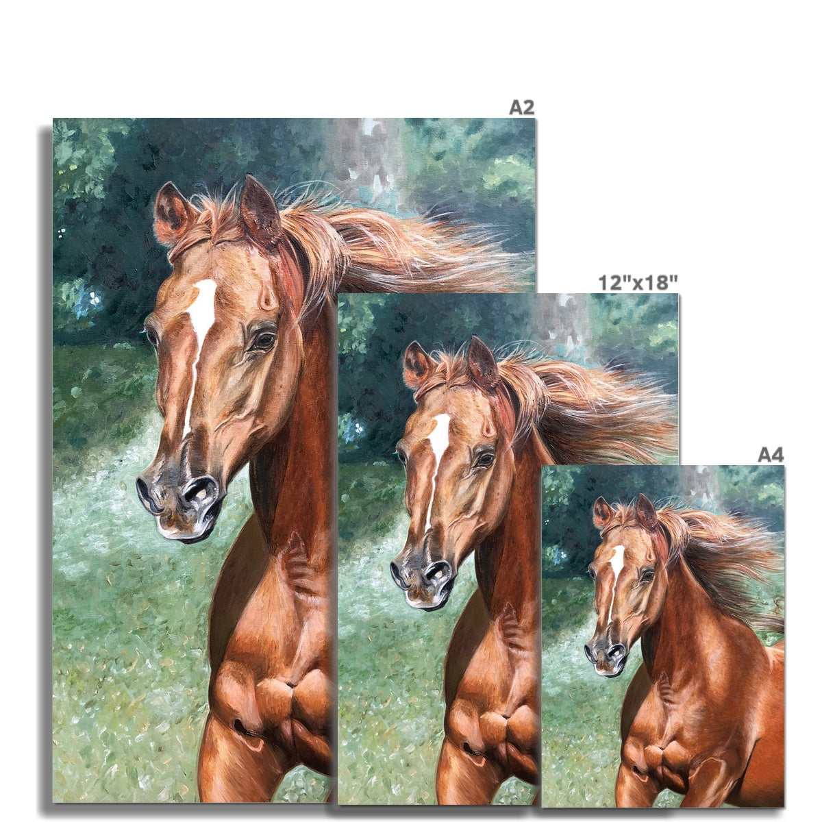 3 different sizes of Arabian horse painting german etching print