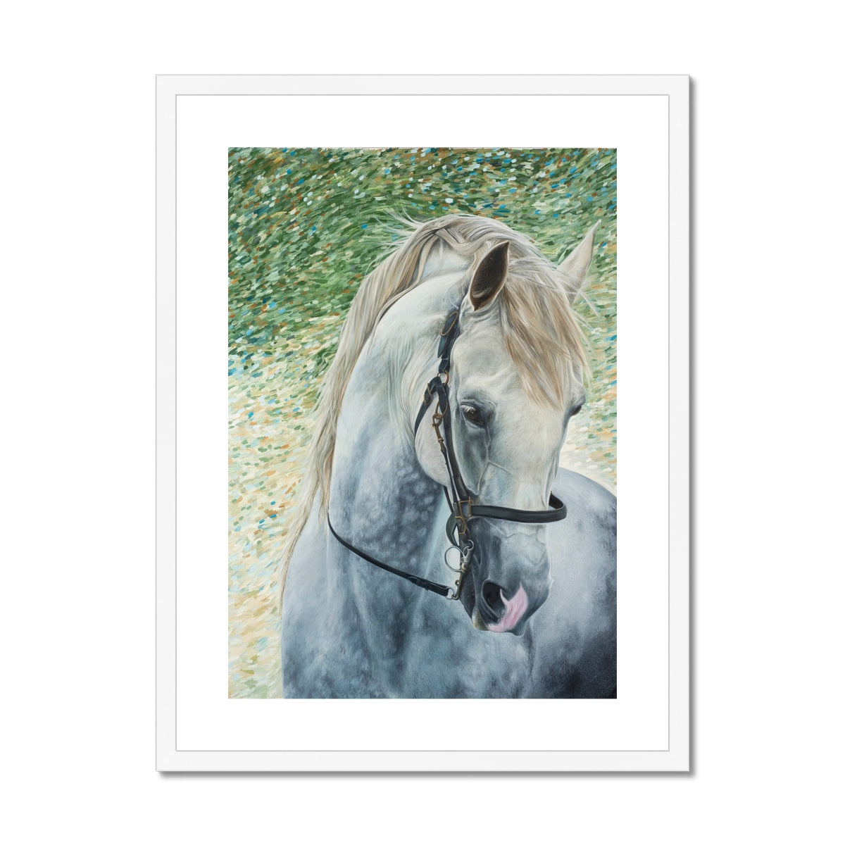 White horse head wearing bridle portrait painting. Framed and mounted print with white frame