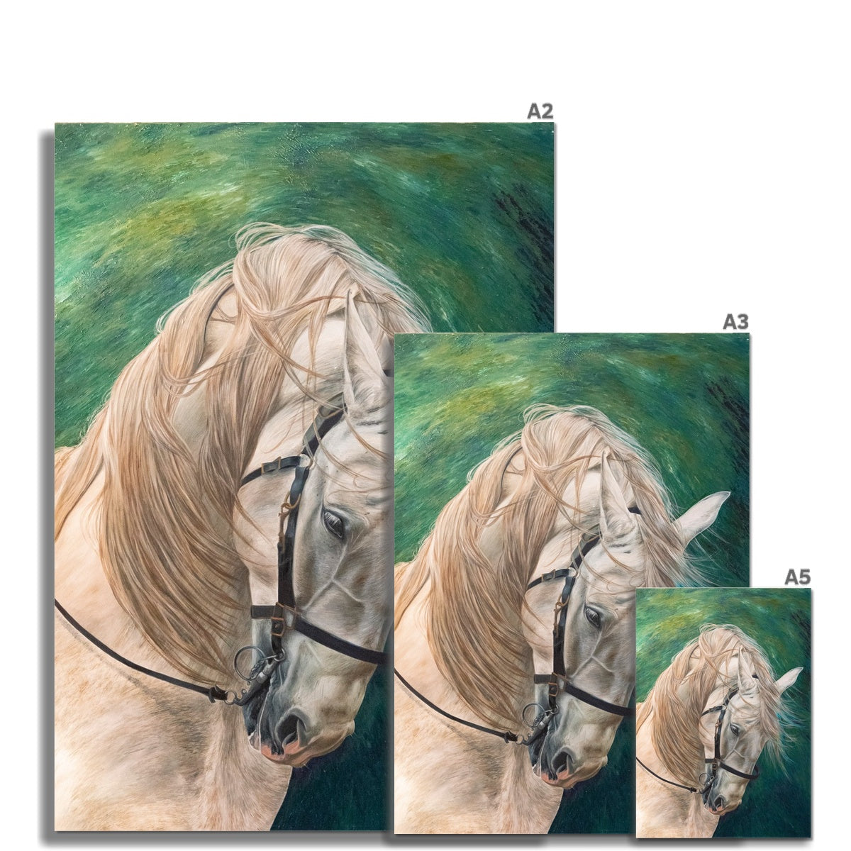 3 different sizes of Grey horse on green background painting german etching print