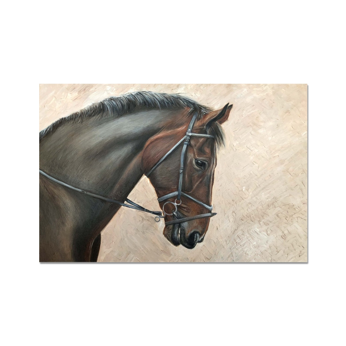 Bay horse head with flash bridle painting